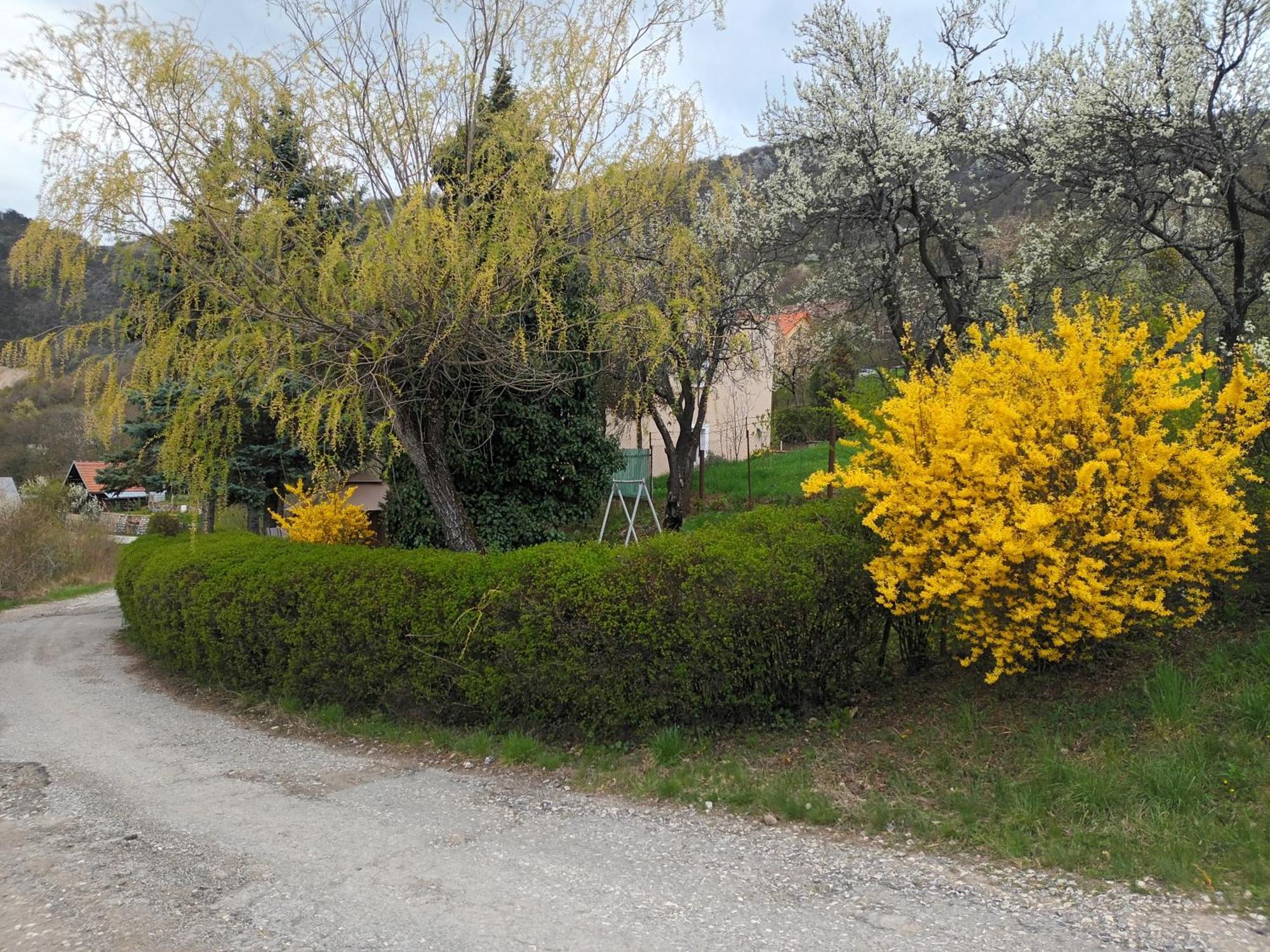 Villa Evetes Jablonov nad Turnou 외부 사진